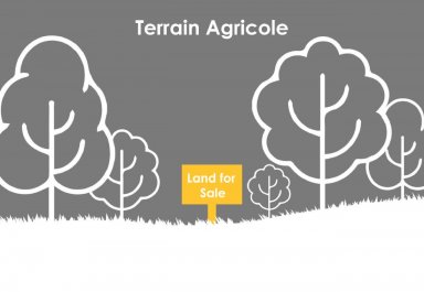 Terrain agricole - 3885 m²
