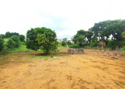 Agricultural land - 1 967.77 m²