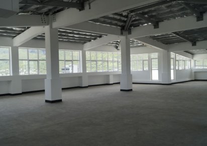 Bureau - 729 m²
