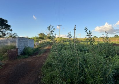 Terrain agricole - 21281 m²