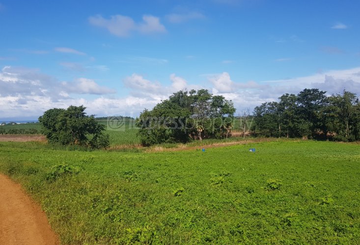 Agricultural land - 6409 m²