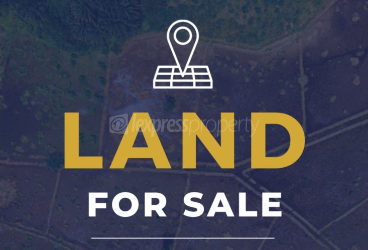 Residential land - 485 m²